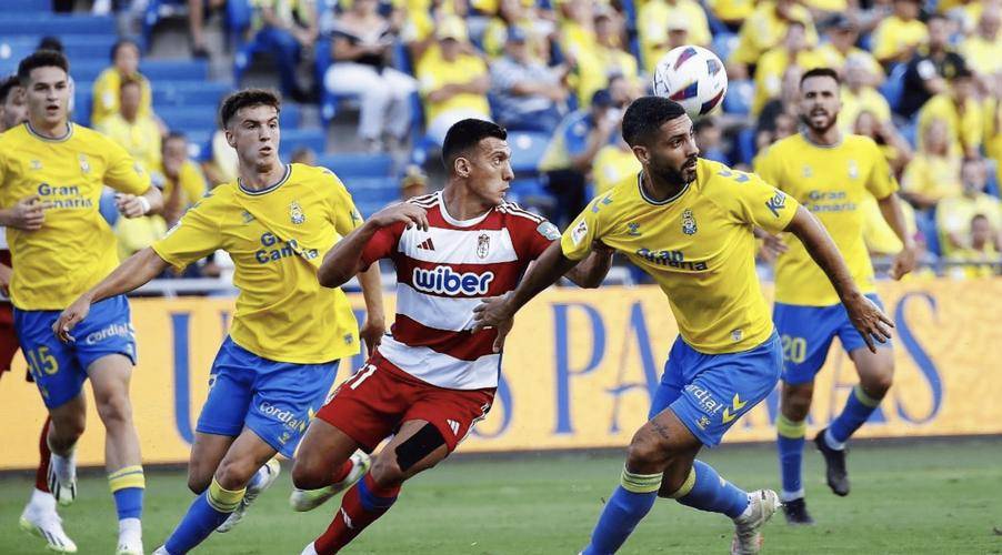 佛罗伦萨主场击败帕尔马,保级形势略有好转 佛罗伦萨主场击败帕尔马,保级形势略有好转