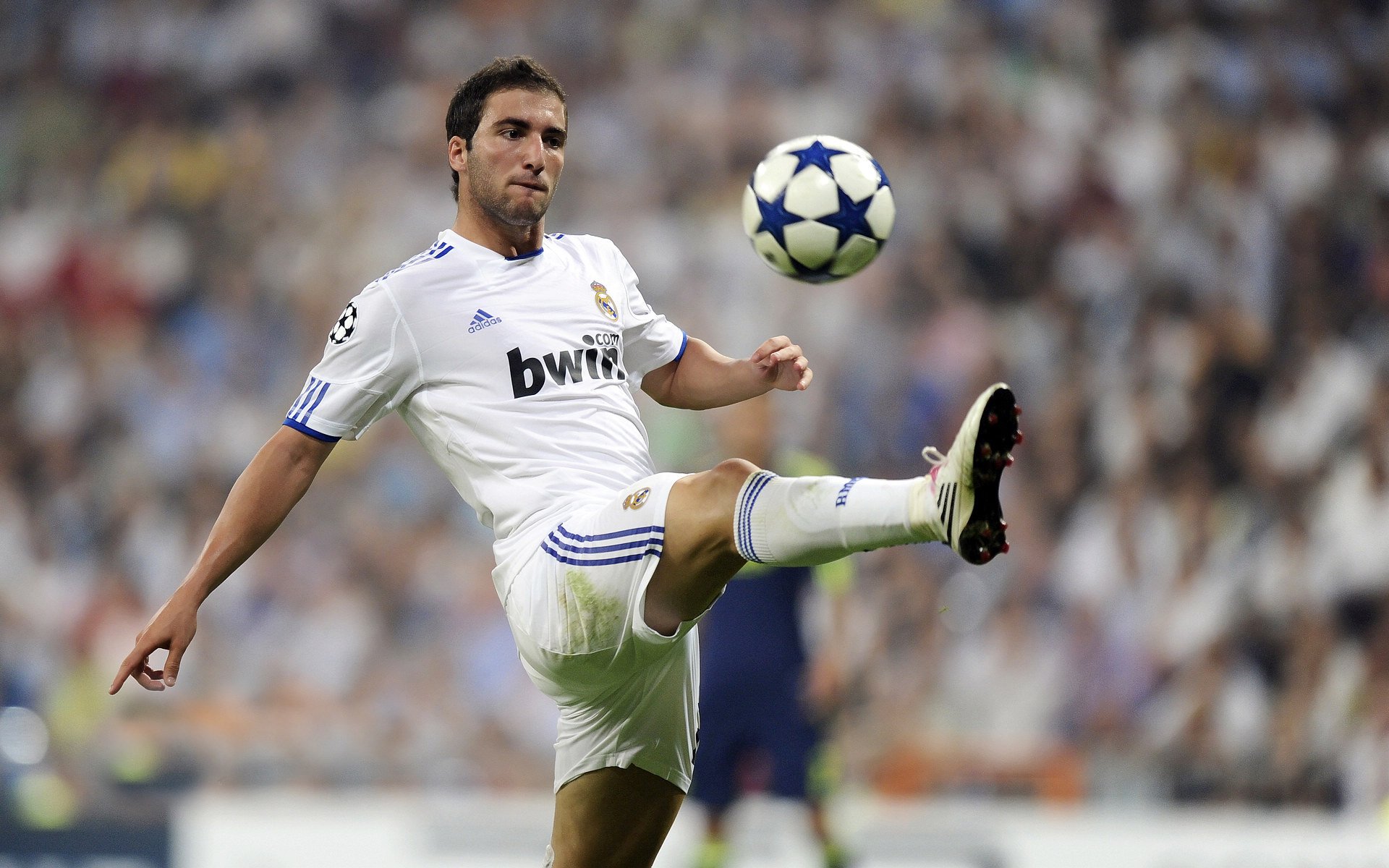 九游体育官方入口-巴西凤凰涅槃夜，倒数第二圈惊魂，马丁内利问鼎王座